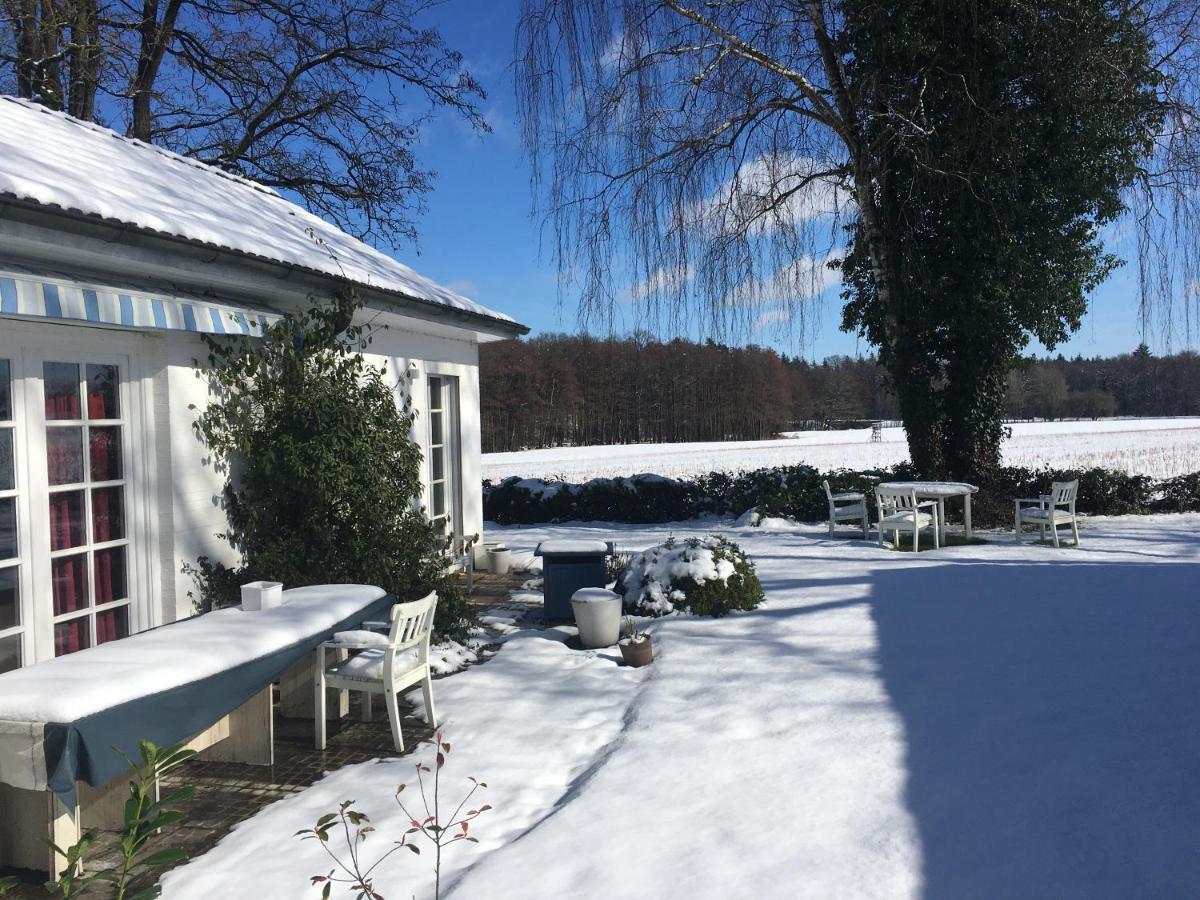 Budget-Unterkunft Im Wunderschonen Haus Mit Herrlichem Panoramablick Lüneburg Exteriér fotografie